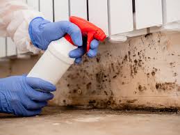 Best Airborne Mold Testing  in Hoffman Estates, IL